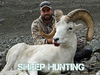 Alaska Sheep Hunting