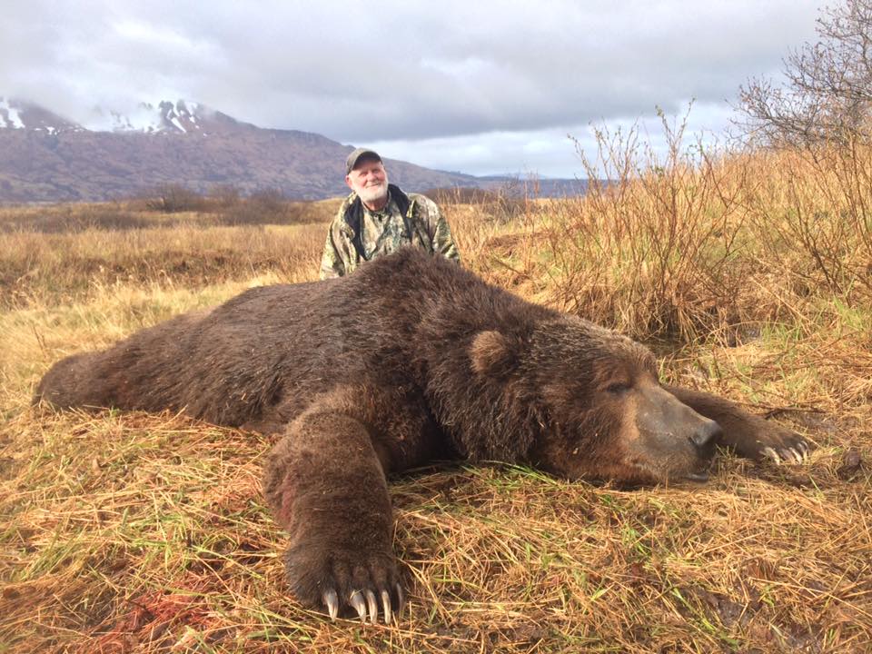 Kodiak Brown Bear Hunting