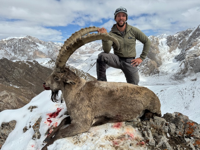 Ibex