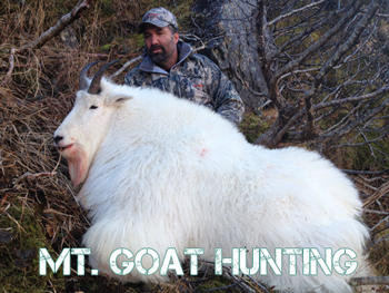 Alaska Mountain Goat Hunting