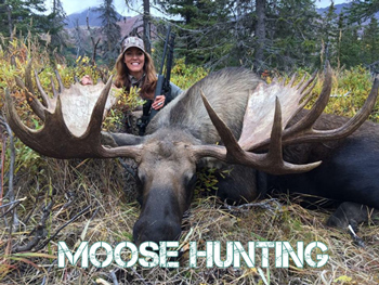 Alaska Moose Hunting