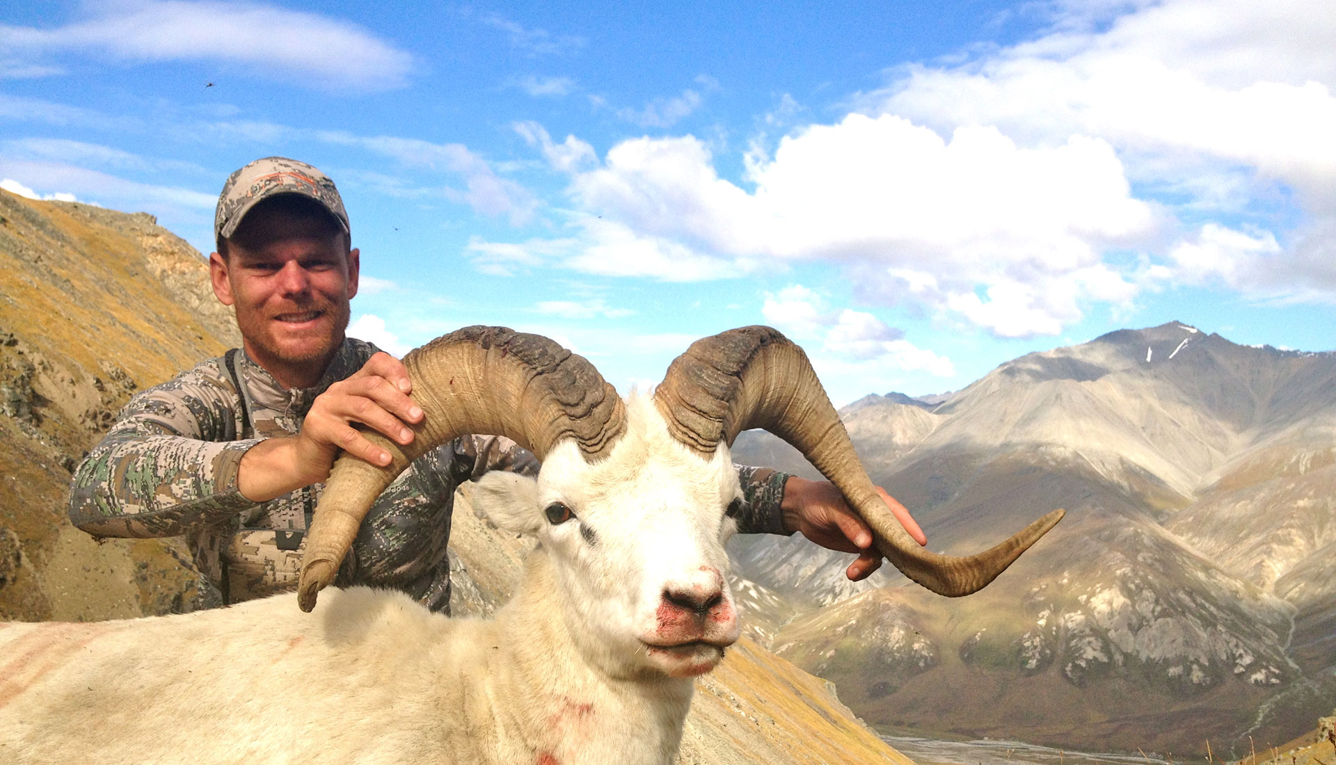 Dall Sheep Hunts