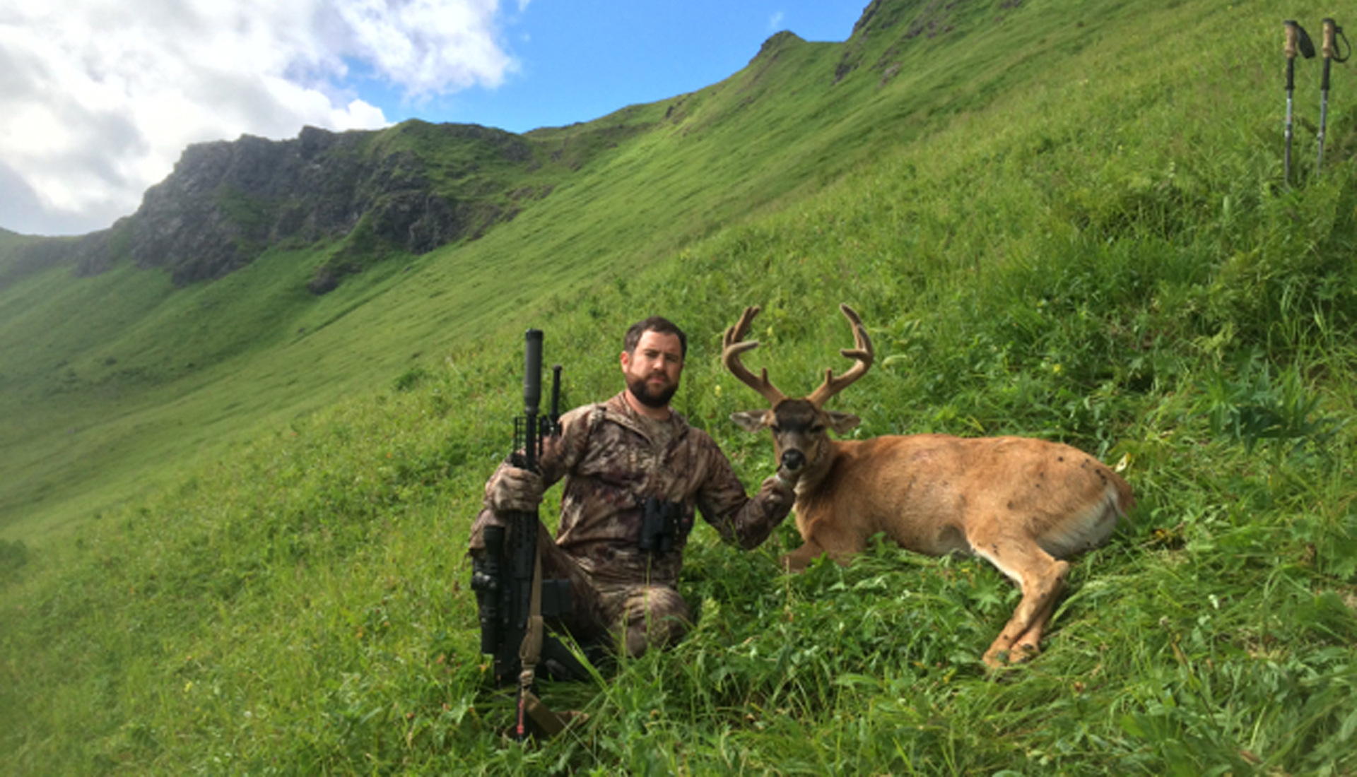 Velvet blacktail deer